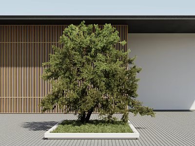 The Modern Tree 3d model