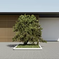 The Modern Tree 3d model