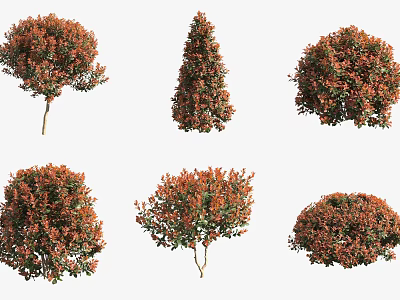 Different Shaped Shrub Varieties With Red And Green Foliage For Garden Landscaping 3d model