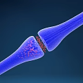 Innovative Medical Device With Tubular Structure And Micro Particles For Cellular Treatment