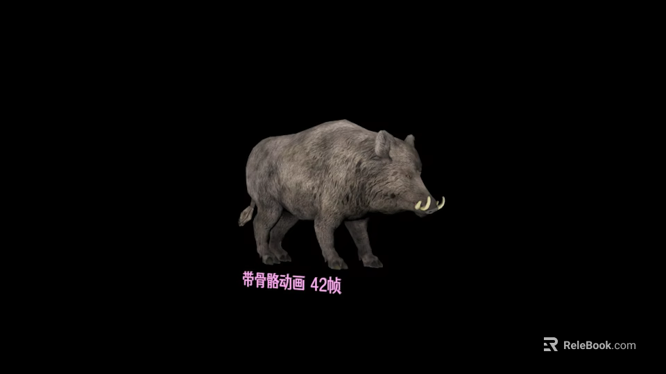 Realistic 3D Wild Boar Model With Skeletal Animation And 42 Frames 3d model 