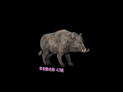 Realistic 3D Wild Boar Model With Skeletal Animation And 42 Frames 3d model