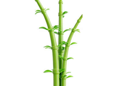 Lush Green Bamboo Stems With Fresh Leaves Showing Healthy Natural Growth 3d model