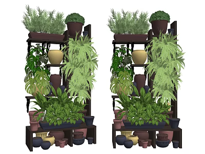 Indoor Multi Tiered Plant Shelves With Various Green Plants And Flower Pots 3d model