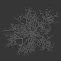 Leafless Tree With White Trunk And Branches On Black Background With Small Human Silhouette 3d model
