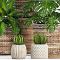 Various Green Potted Plants in Wicker Baskets for Indoor Decoration 3d model