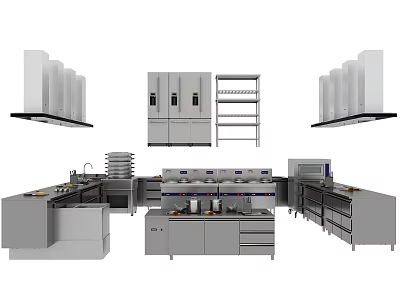 Commercial Kitchen Appliances Stainless Steel Equipment Setup With Cabinets Shelves Ovens And Hoods 3d model