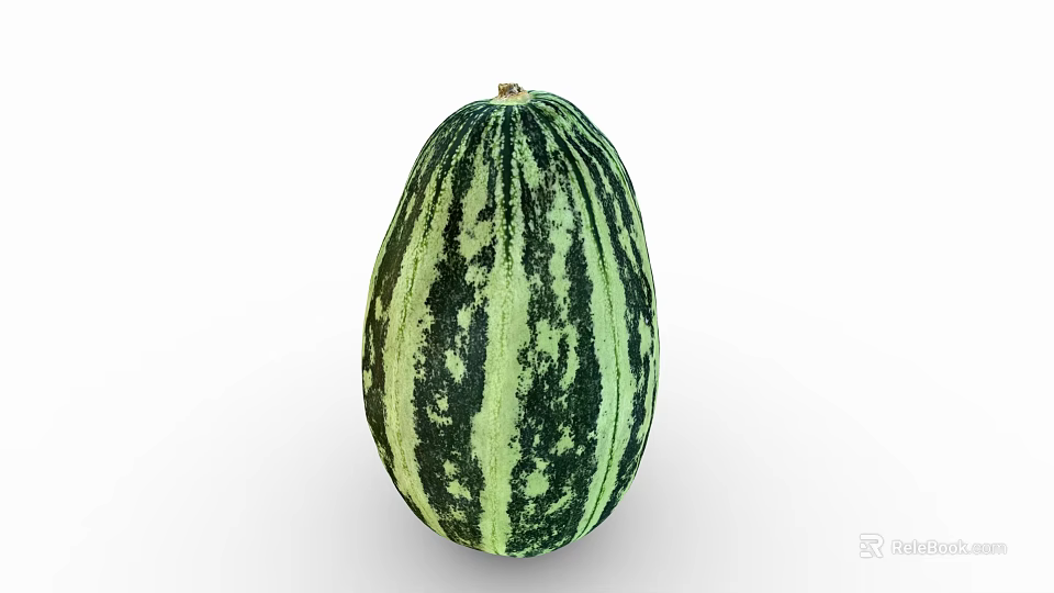 Fresh Green And Black Striped Oval Melon As Nutritious Healthy Food Choice 3d model 