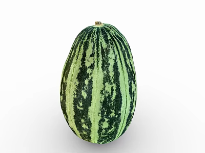 Fresh Green And Black Striped Oval Melon As Nutritious Healthy Food Choice 3d model