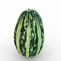 Fresh Green And Black Striped Oval Melon As Nutritious Healthy Food Choice