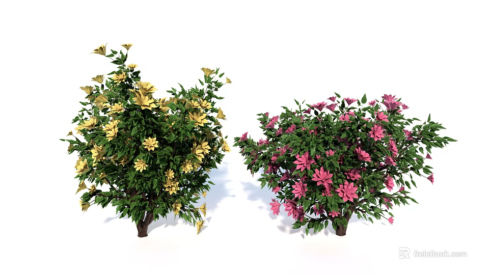 Two Vibrant Flowering Shrubs With Yellow And Pink Blooms And Lush Green Foliage 3d model 