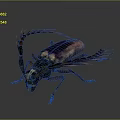 3D Insect Model With Metallic Sheen Long Antennae Red Branches Legs And Reflection On Gray