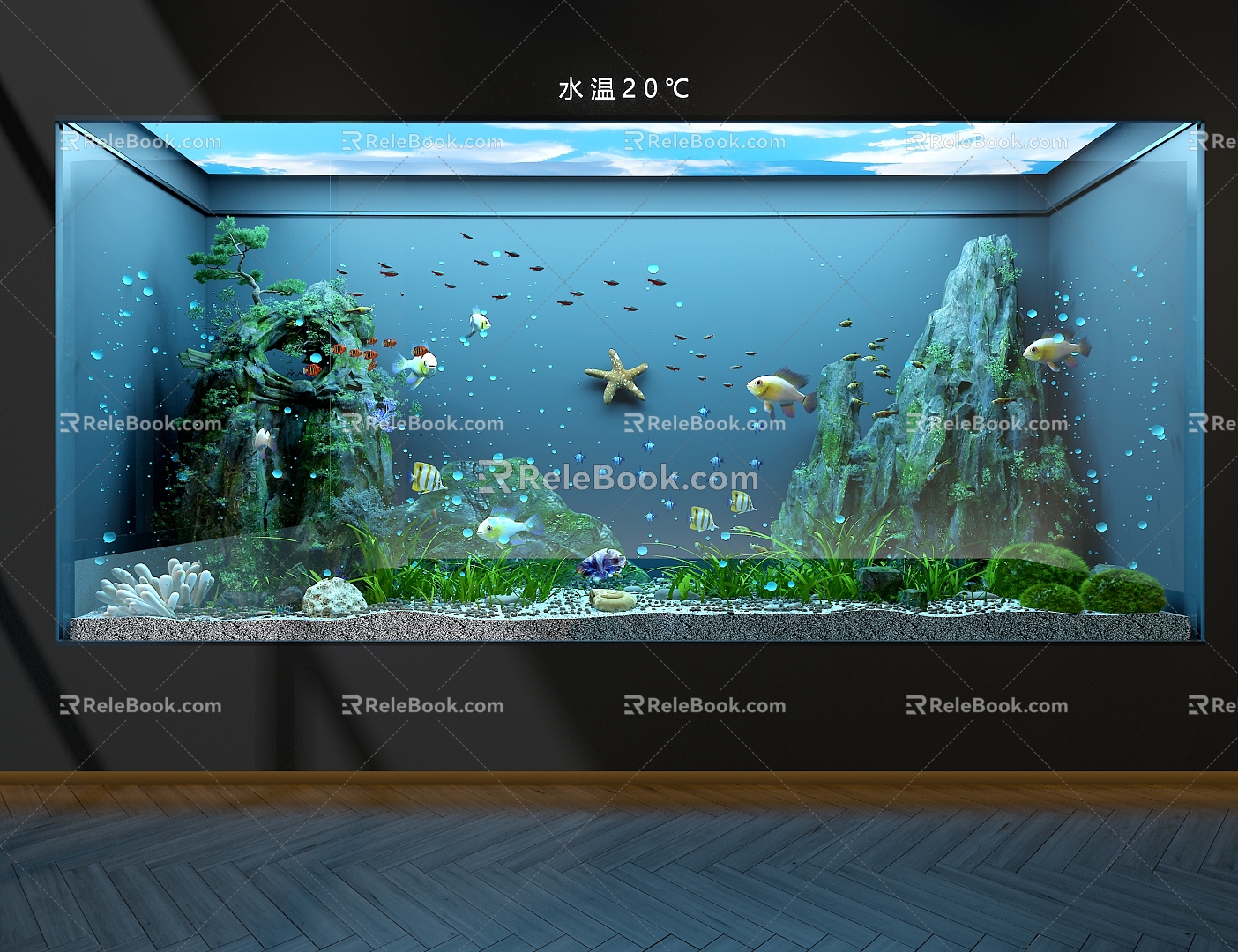 ecological tank aquarium 3d model