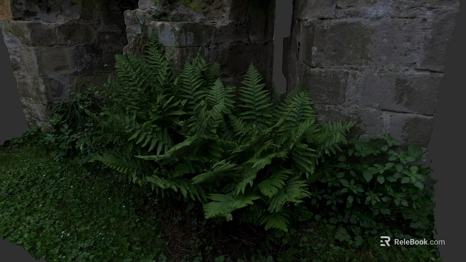 Vibrant Natural Plant Painting Featuring Lush Ferns Against Old Stone Wall 3d model 