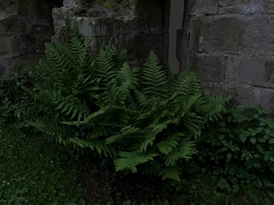 Vibrant Natural Plant Painting Featuring Lush Ferns Against Old Stone Wall 3d model