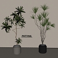 Modern Bonsai Bonsai Green Plant 3d model