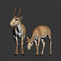 Two Light Brown Antelopes Standing on Dark Reflective Surface with Natural Posture 3d model