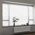 White Blinds Covering Window With Green Plant Books And Small Decor