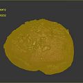 Freshly Baked Golden Round Bread Topped With Crunchy Oat Flakes And Soft Texture