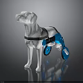 Dog Mobility Assistive Device With Blue Wheelchair Frame And Supportive Harness