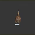 Detailed Brown Kiwi Bird Sculpture With Long Beak Standing On White Base
