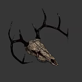 Detailed Deer Skull with Intricate Antlers and Natural Bone Texture