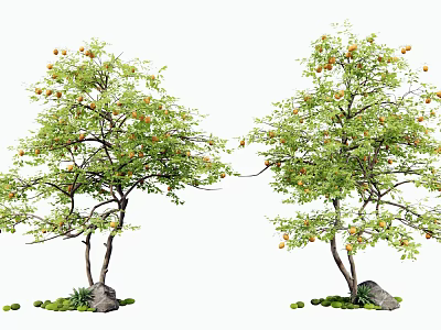 Two Arbor Trees With Green Leaves Orange Fruits Trunks By Stones And Small Green Plants 3d model