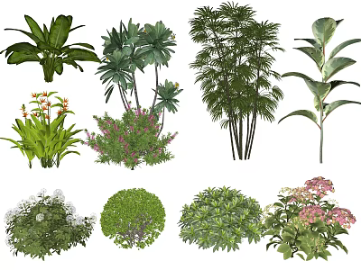 Diverse Plant Combinations With Green Foliage Flowering Shrubs And Large Leaves 3d model