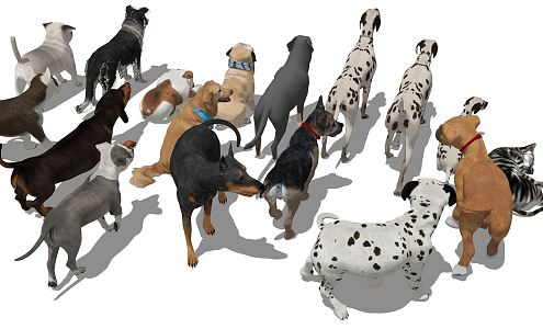 Modern Dog Pet Dog 3d model