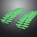 Two Fresh Green Pinnate Leaves Against Dark Background For Natural Decor
