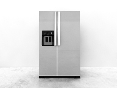 Refrigerator model