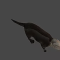 Realistic 3D Otter Model With Brown Fur Standing On Green Background