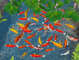 Koi carp goldfish koi combination red yellow goldfish lotus water lily lotus leaf aquatic plant lotus landscape plant lotus leaf lotus canopy 3d model