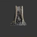 Tree Stump With Natural Weathered Wooden Texture On Smooth Black Surface