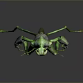 Anthropomorphic Praying Mantis 3D Character Model With Green Exoskeleton And Long Antennae