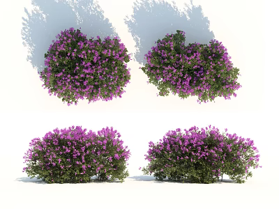 Lush Shrubs With Purple Flowers For Garden Landscape Design 3d model