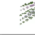 Various Colorful Flowers And Green Plants In Grid Pattern Display Collection
