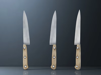 Three High Quality Kitchen Knives With Silver Blades And Wooden Handles On Dark Background 3d model