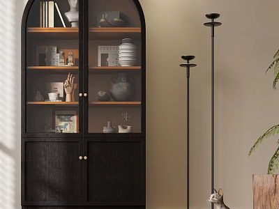 Modern Black Wooden Bookcase With Glass Doors Books Ceramic Decor Plates And Floor Lamp Plant 3d model