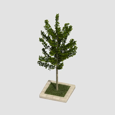 Arbor Planted In Square Stone Base With Fresh Green Grass Surrounding 3d model