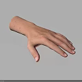 Detailed Human Hand with Fine Hair and Natural Skin Texture Closeup View