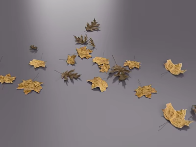Scattered Dry Leaves on Gray Background with Natural Fallen Texture 3d model