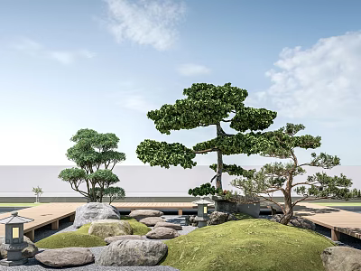 Japanese Garden Plant Combination Featuring Pine Trees Green Grass Stones And Lantern 3d model
