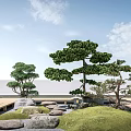 Japanese Garden Plant Combination Featuring Pine Trees Green Grass Stones And Lantern