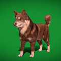 Brown and white dog standing full body on clear green background