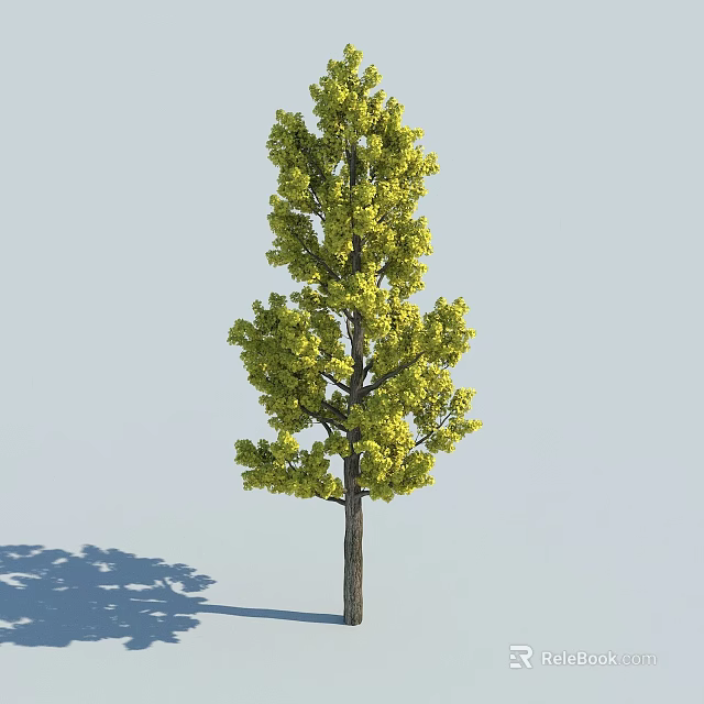 Tall Green Arbor Tree with Lush Foliage Brown Trunk and Shadow on Light Background 3d model 