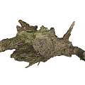 Natural Driftwood Log With Moss Covered Surface And Bird Nest Details