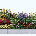 Garden Flower Planters With Colorful Mixed Flowers Yellow Red Purple Blooms And Green Leaves