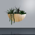 Wall Mounted Wooden Semicircular Planter With Various Succulents And Hanging Plants