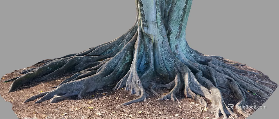 Large Arbor Featuring Massive Spreading Roots On Ground With Dry Leaves 3d model